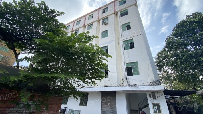 国和华东大厦外景图