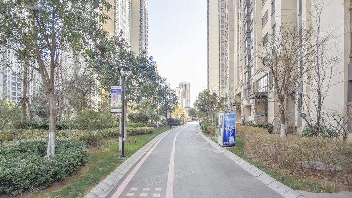 保利百合外景图