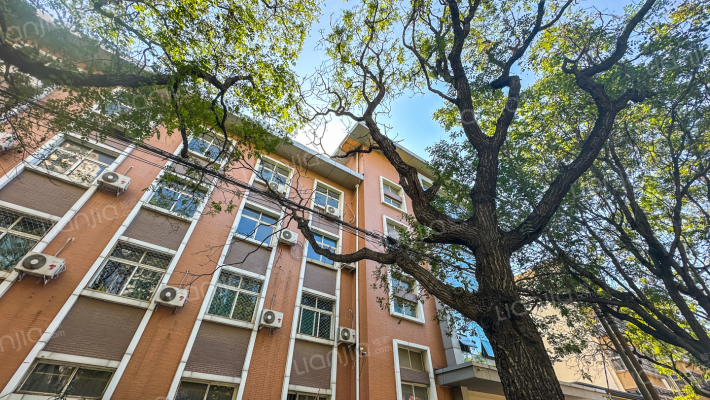 朝阳路15号院外景图