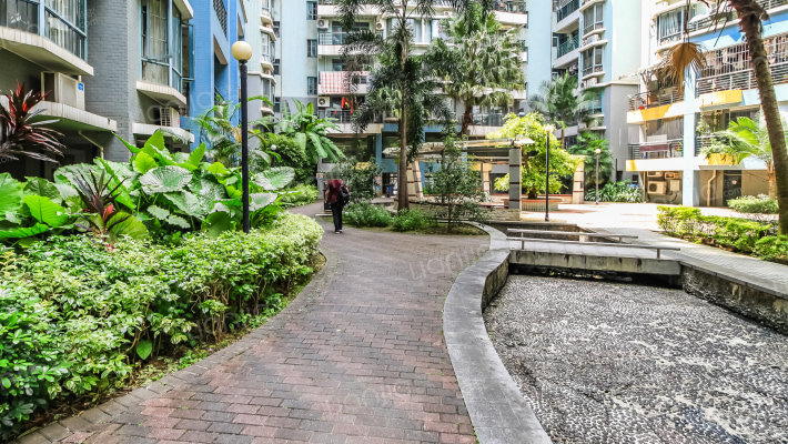 南湖碧园外景图