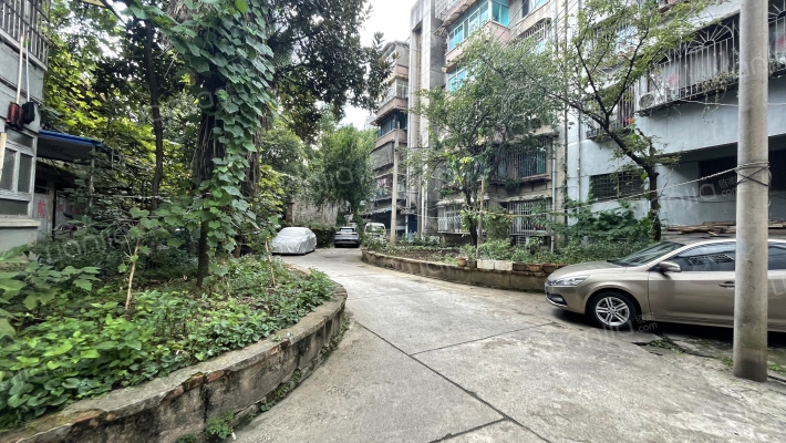 新添大道南段109号院落外景图