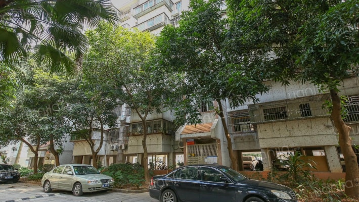 海关草埔生活区外景图