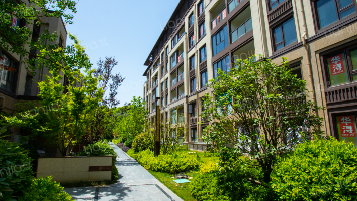 红豆和院外景图