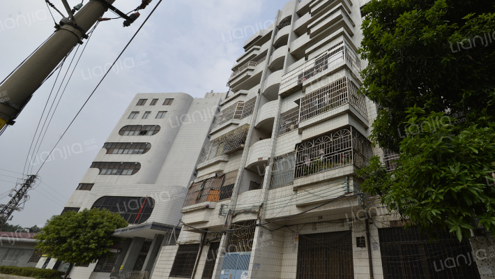 电信局宿舍外景图