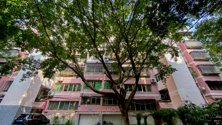 璧铜路32号外景图