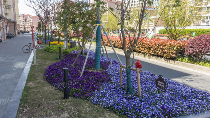 广中路470号外景图