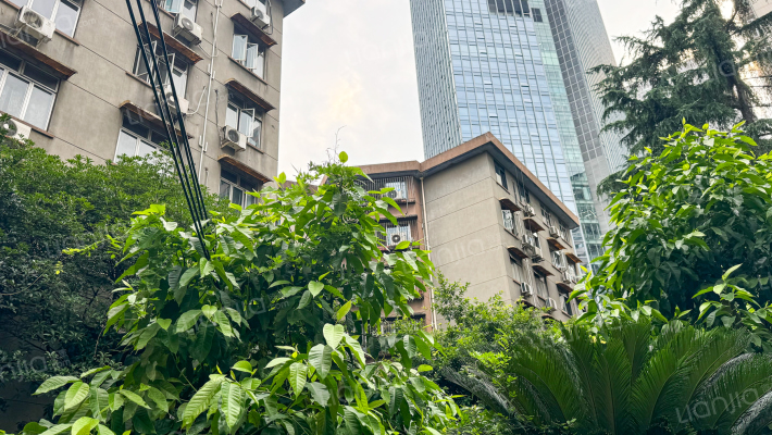 光华街49号外景图