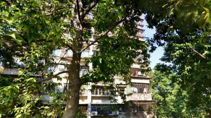 华南理工大学宿舍东秀村外景图