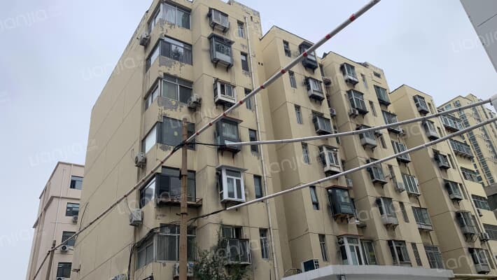 杨树胡同38号外景图