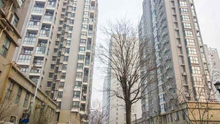 兰德喜多家外景图