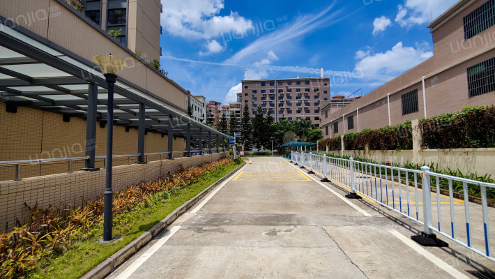 和风雅轩外景图