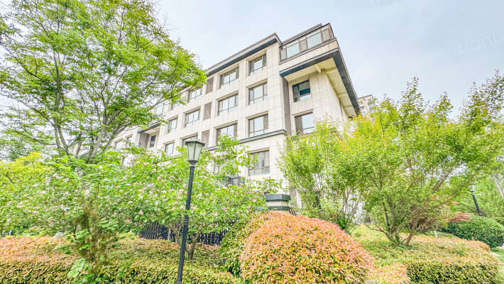 泰山云谷外景图