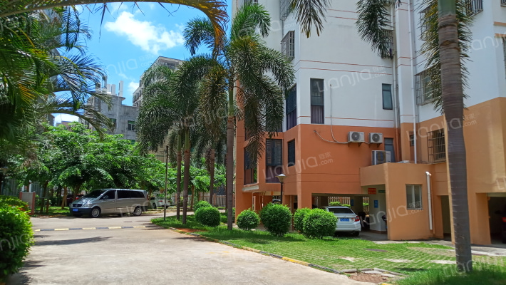 八一新村外景图