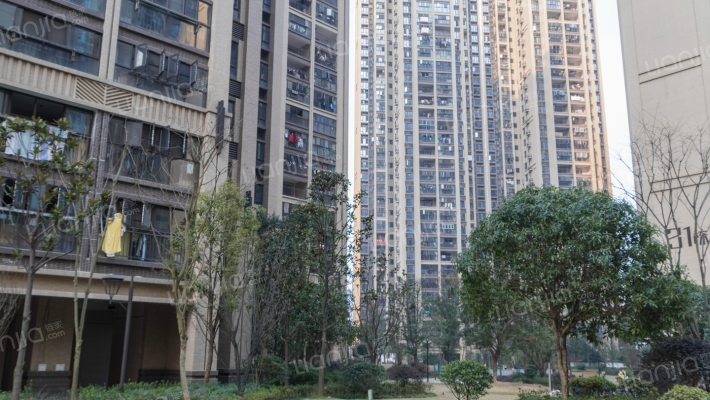 时代倾城外景图