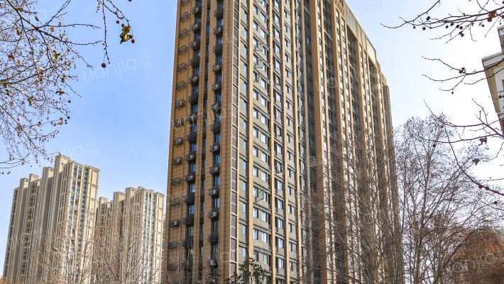 城市之光外景图