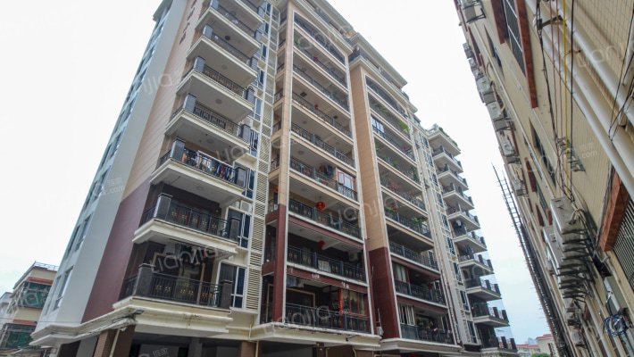 三棵树小区外景图