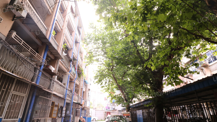 西柏果园58号外景图