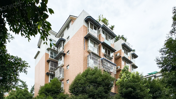 金犀庭苑外景图