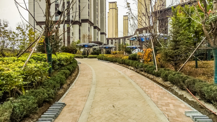 西雅图水岸外景图