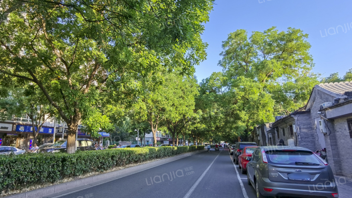 东四四条外景图