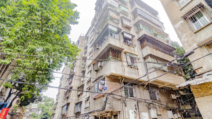 南桂二街外景图