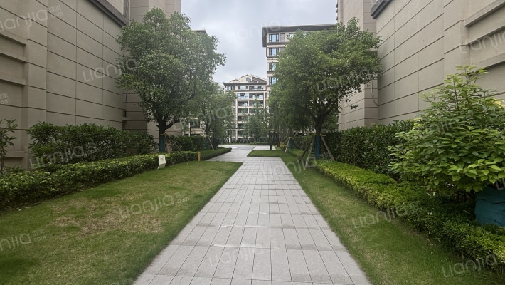 金科禹洲府外景图