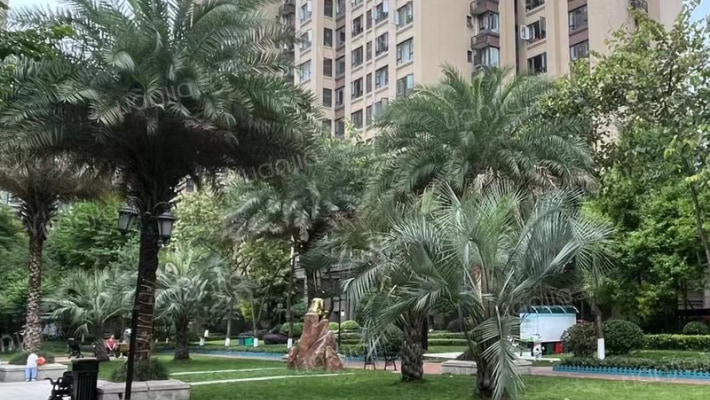 海亮樾金沙外景图