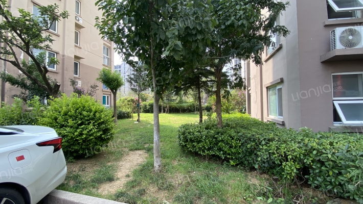 青岛印象湾D区外景图