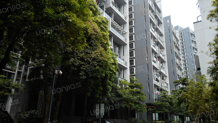 万科第五园三期外景图