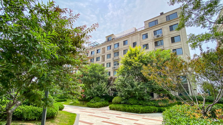 恒信新天国际外景图