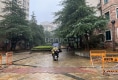 新加坡花园36