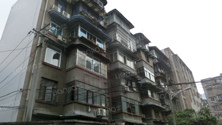 泡桐树街1号外景图