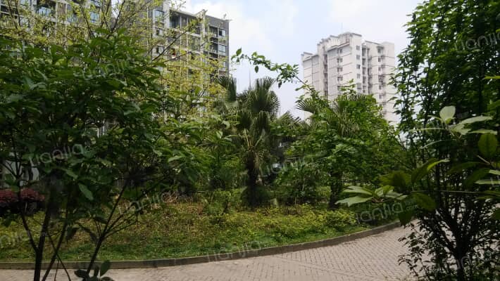 华福山水外景图