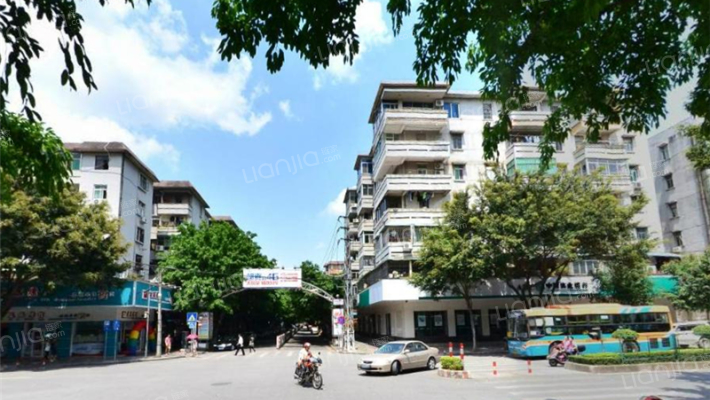 西城路(增城区)外景图