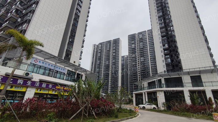 坡博家园三区外景图