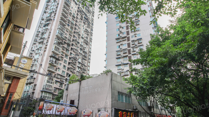 南开蓓蕾城外景图