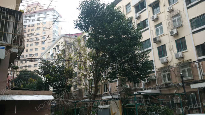 法华镇路101弄外景图