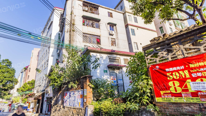 东园中路外景图