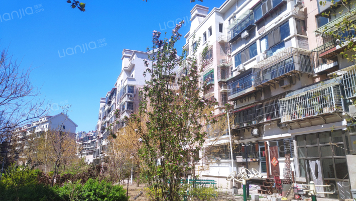 金筑家园外景图