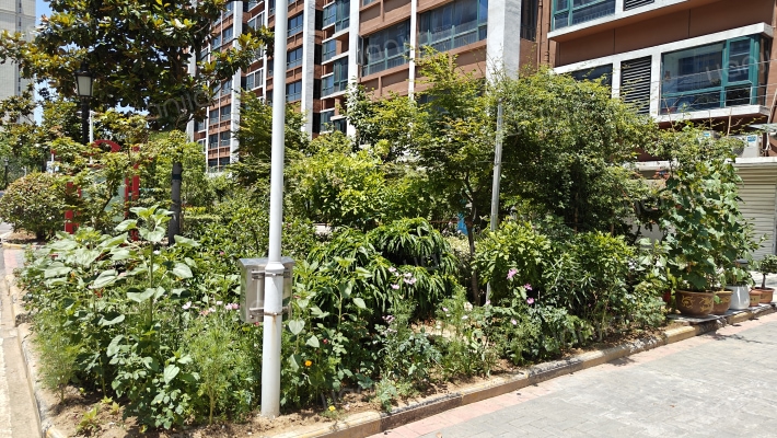 风景锦苑外景图