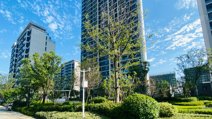 南德缦和世纪外景图