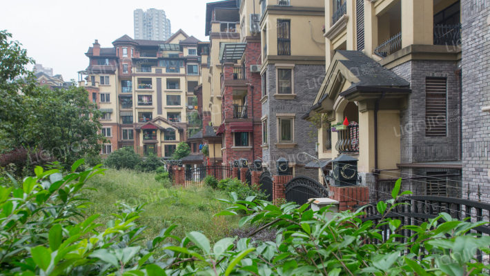 中渝梧桐郡C区外景图