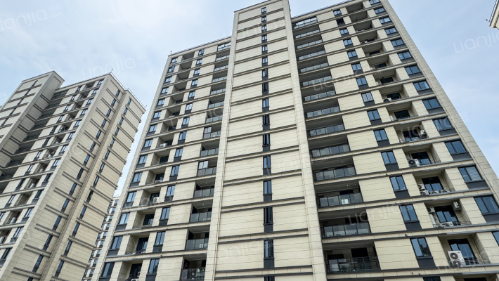 绿城江南明月府外景图