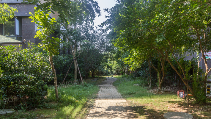 缇香名邸外景图