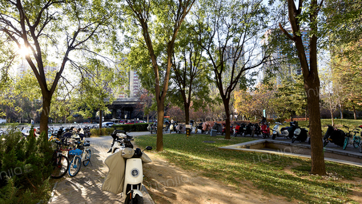 远洋商务外景图