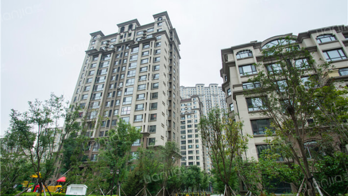 月星国际城外景图