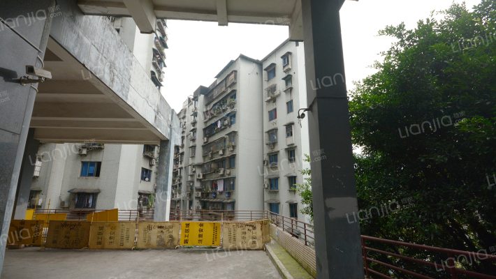 杏园小区外景图