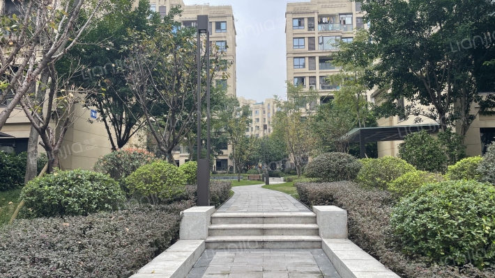 金科中建集美阳光外景图