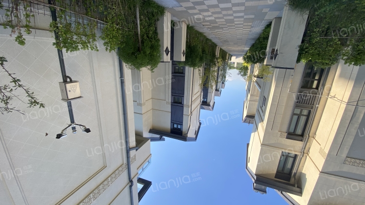 远洋天著春秋外景图