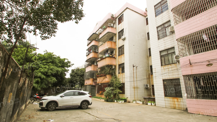 教师楼（南头镇）外景图